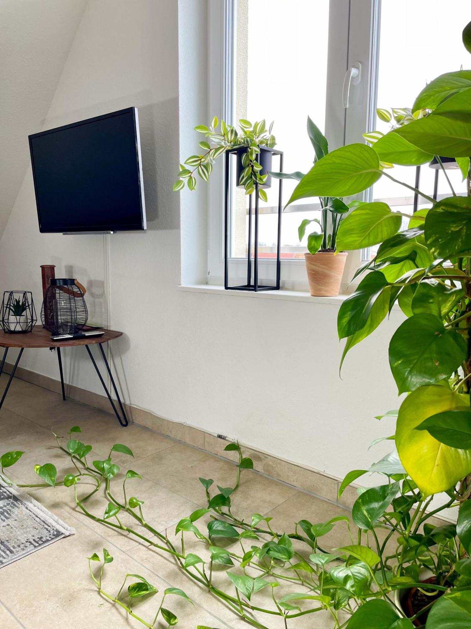 Ahaus: Stadtoase Mit Terrasse & Privater Garage Dış mekan fotoğraf